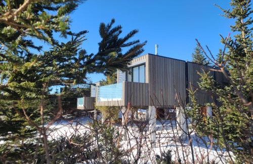 Hunts Point Hotel | Relax at White Point Beach Resort: Oceanfront & Pet Friendly