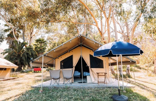 Catalina Island RV Rental | Family-Friendly White's Landing Catalina Camp with Breakfast