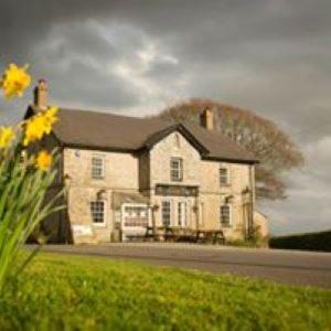 Saint Ann's Chapel Hotel | Pet-Friendly Getaway at Whod Have Thought It Inn