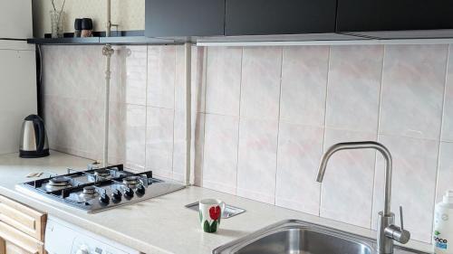 Vilnius city municipality Apartment | Whole Apartment with Bicycle included