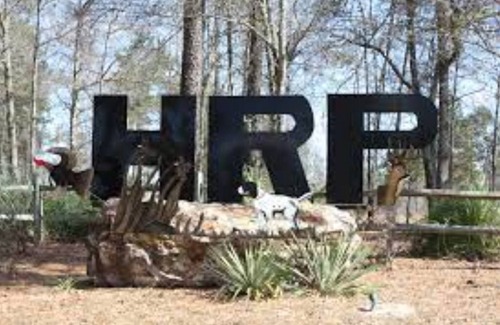 Millen House | Cozy Home with Fenced Backyard & Fully Equipped Kitchen