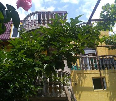 Tbilisi House | Eco-Friendly Rooms with Ocean View & 10/10 Guest Rating