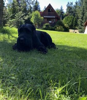 Rajcza Ski Chalet | Wichrowe Wzgórze 4: Guest Rated Excellence with Hot Tub