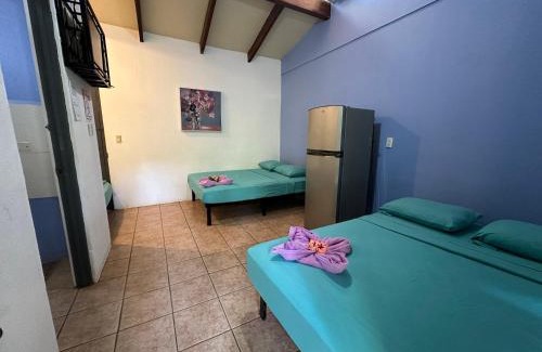 Brasilito Hotel | Inviting Wide Mouth Frog Conchal: Family-Friendly Oasis