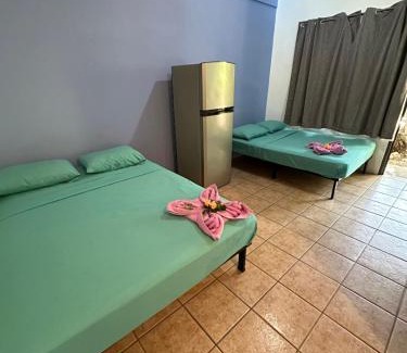 Brasilito Hotel | Inviting Wide Mouth Frog Conchal: Family-Friendly Oasis