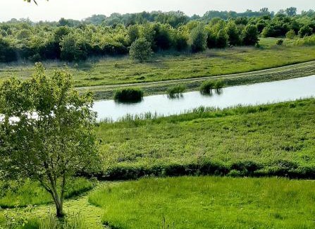 Tarnobrzeg House | Widokówka: Guest Rated 10/10, Pet-Friendly & Family-Oriented