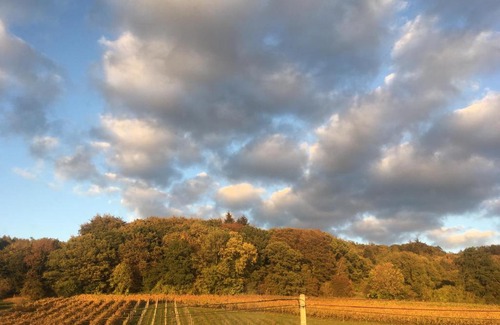 Sint-Pieters-Voeren Bed & Breakfast | Explore Wijndomein Zwaeneberg: A 9.1/10 Guest Favorite