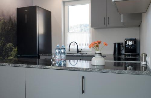 Krynica-Zdroj Villa | Exceptional Wiktoria Residence in Krynica-Zdrój, Rated 9.8