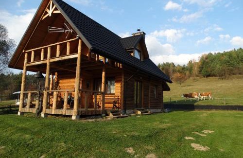 Rabe Ski Chalet | Pet-Friendly Wilczy Mszaniec: Guest Rated 10/10 Comfort