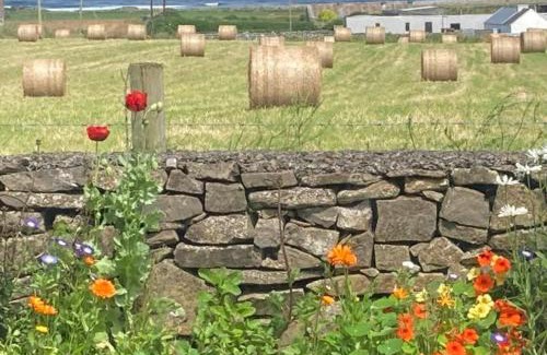 Keadue Bed & Breakfast | Inviting Wild Atlantic View: Pet-Friendly & Family Approved