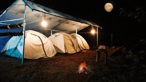 Devikolam House | Discover Wild Campers Munnar: Pet-Friendly Retreat Awaits