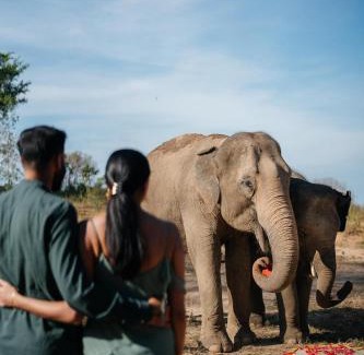 Bophut Hotel | Exquisite Wild Cottages Elephant Sanctuary Resort Experience