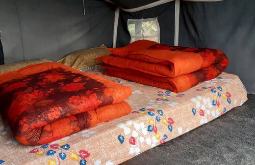 Rampur RV Rental | Explore Wild Himalaya Glamping Camp - Pet & Child Friendly