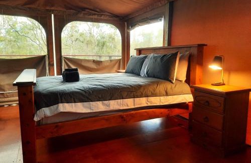 Biboohra Other | Serene Wild Nature Lodge at Mareeba Wetlands