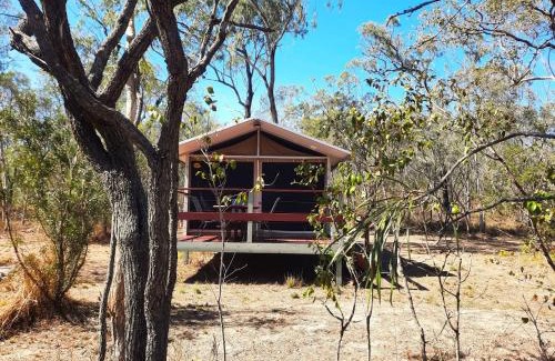 Biboohra Other | Serene Wild Nature Lodge at Mareeba Wetlands