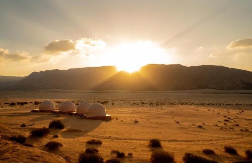 Aqaba Governorate Other | Explore Wild Oryx Camp Bubbles: Pet-Friendly Retreat