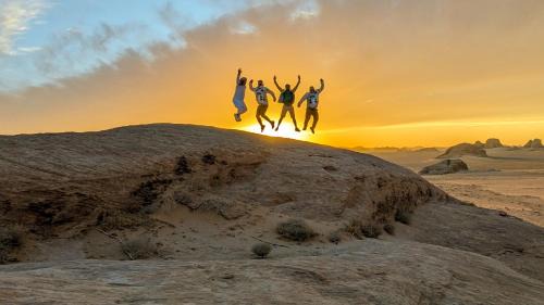 Aqaba Governorate Other | Explore Wild Oryx Camp Bubbles: Pet-Friendly Retreat