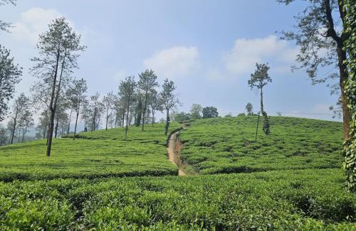 Lakkidi Ski Chalet | Discover Comfort at Wild Root Stay - Aster Chalet