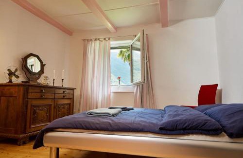 Isorno Apartment | Discover Wild Valley Palm Garden: Pet-Friendly Retreat