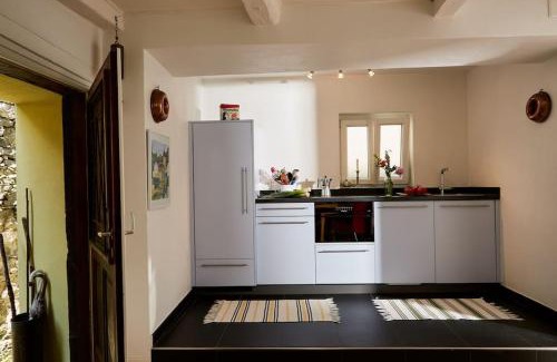 Isorno Apartment | Discover Wild Valley Palm Garden: Pet-Friendly Retreat