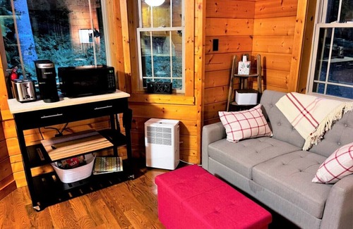 Meadows Of Dan Cabin | Cozy Wildcat Forest Cabin Near Buffalo Mountain Getaway