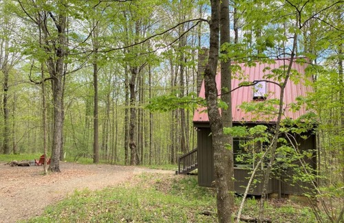 Meadows Of Dan Cabin | Cozy Wildcat Forest Cabin Near Buffalo Mountain Getaway