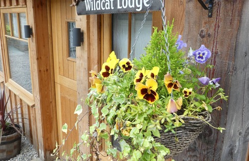 Boat of Garten Cottage | Wildcat Lodge - Premier Retreat with Spa & Pet-Friendly Fun