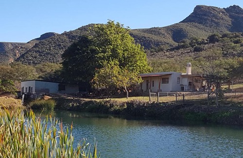 Studtis House | Enchanting Wildedruifhuisie: Poolside Family Retreat