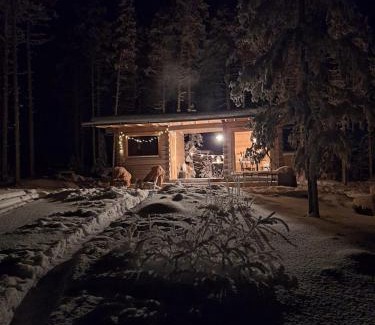 Rovaniemi House | Idyllic Wilderness Cabin Onnela with Private Beach Access