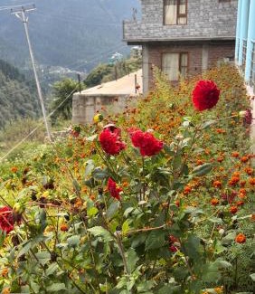 Tosh House | Experience WildFlower: Pet-Friendly Getaway with Hot Tub