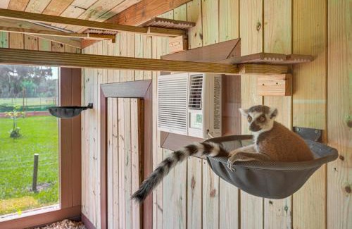 Webster House | Experience the Sloth and Lemur Hacienda in Webster