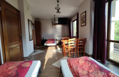 Dwikozy House | Discover Willa Dzika Róża: Pet-Friendly Retreat with Dining