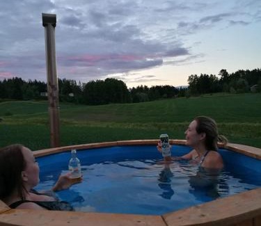 Laukkoski Bed & Breakfast | Charming Willa Mustijoki: Pet-Friendly with Breakfast Included
