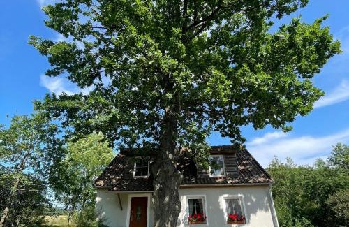 Ketrzyn Cabin | Guest Rated: Willa Pod Dębem with Family & Pet Amenities