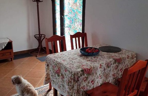 Rymanow-Zdroj Apartment | Willa Różana: Pet-Friendly Retreat with Hot Tub & 9.7 Rating