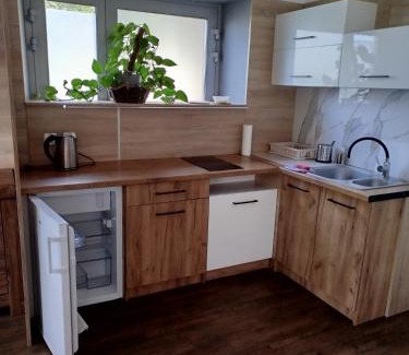 Ladek-Zdroj House | Relax at Willa Relaks: Pet-Friendly with Top Guest Ratings