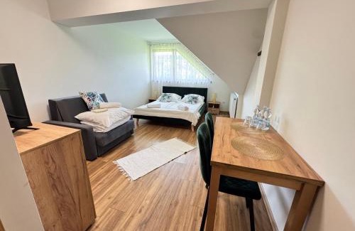 Polany Bed & Breakfast | Discover Willa Wioletta: Family-Friendly with Kitchen Access