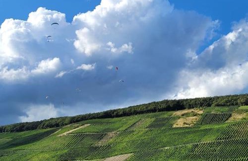 Dhron House | Top-Rated Family-Friendly Escape at Willi's Moselschlösschen