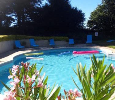 Langoelan House | WILLOW: Oceanfront Escape with Pool & Pet-Friendly Perks