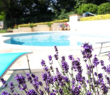 Langoelan House | WILLOW: Oceanfront Escape with Pool & Pet-Friendly Perks