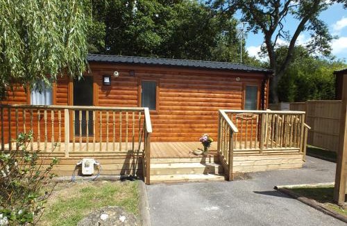 Swanage House | Discover Oceanfront Bliss at Willow Lodge with Hot Tub Access