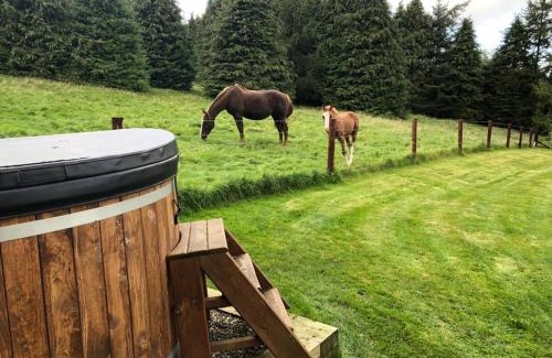 Dublin Cabin | Discover Willow Lodge: Exceptional Stay with Hot Tub