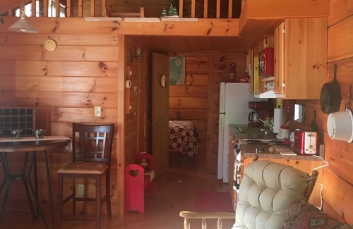 Asheville Cabin | Relax at Willow Pond: Family-Friendly Cabin with Spa
