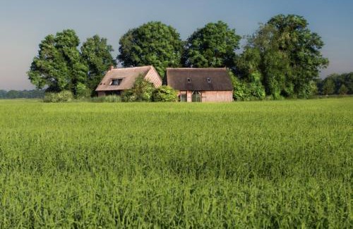 Nieuw-Schoonebeek House | Experience Wilmsboo: Guest Rated 9.3/10 Stay Awaits
