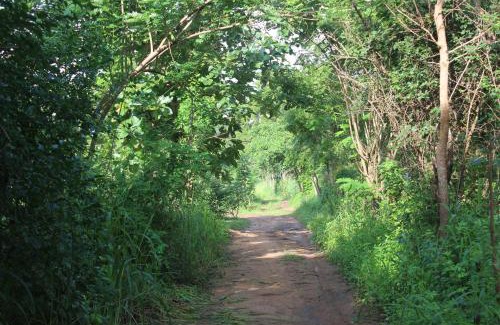 Pahala Maragahawewa Resort | Budget-Friendly Wilpattu Holiday Home with Family Amenities
