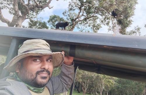 Pahala Maragahawewa Cabin | wilpattu lake nest
