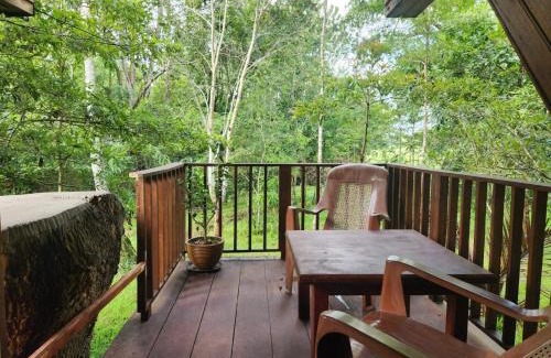Nochchiyagama Bed & Breakfast | Discover Wilpattu Tree House: Family-Friendly Retreat