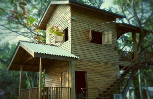 Nochchiyagama Bed & Breakfast | Discover Wilpattu Tree House: Family-Friendly Retreat