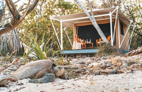 Wilson Island Resort | Experience Wilson Island: Oceanfront Retreat with Private Beach
