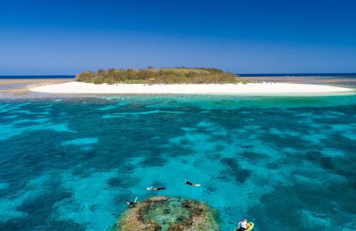 Wilson Island Resort | Experience Wilson Island: Oceanfront Retreat with Private Beach